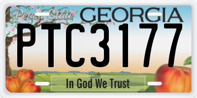 GA license plate PTC3177