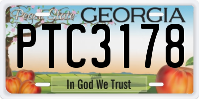 GA license plate PTC3178