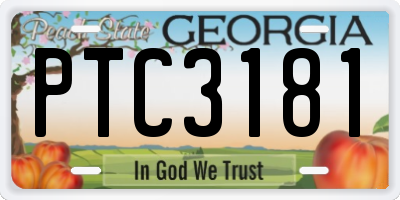 GA license plate PTC3181