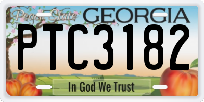 GA license plate PTC3182