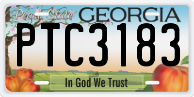 GA license plate PTC3183