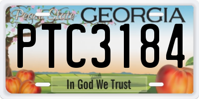 GA license plate PTC3184
