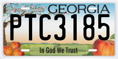 GA license plate PTC3185
