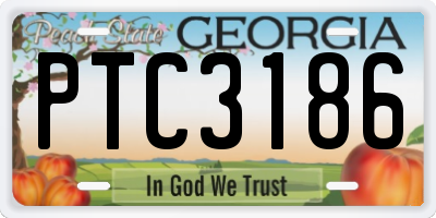 GA license plate PTC3186
