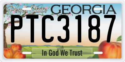 GA license plate PTC3187
