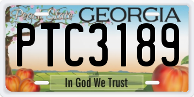 GA license plate PTC3189