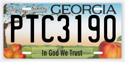 GA license plate PTC3190