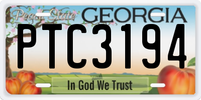 GA license plate PTC3194