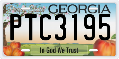 GA license plate PTC3195
