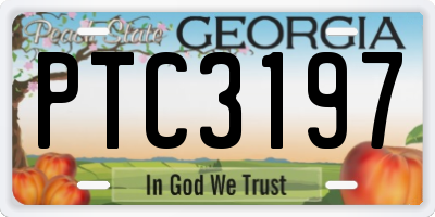 GA license plate PTC3197