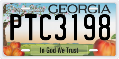 GA license plate PTC3198