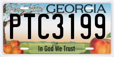 GA license plate PTC3199