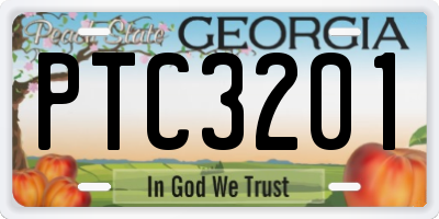 GA license plate PTC3201