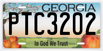GA license plate PTC3202