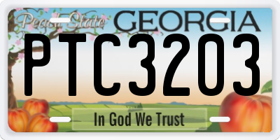 GA license plate PTC3203