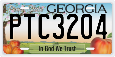 GA license plate PTC3204