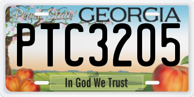 GA license plate PTC3205