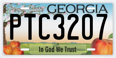 GA license plate PTC3207