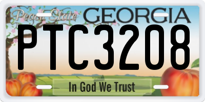 GA license plate PTC3208