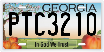 GA license plate PTC3210