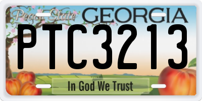 GA license plate PTC3213