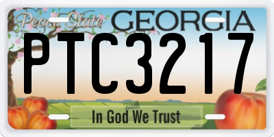 GA license plate PTC3217