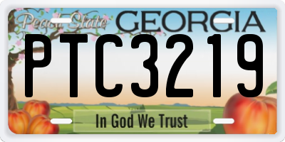 GA license plate PTC3219