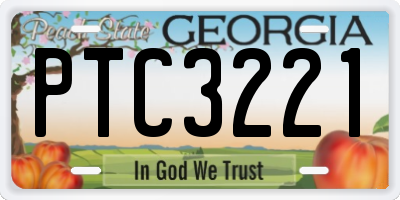 GA license plate PTC3221
