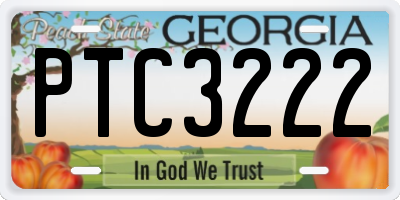 GA license plate PTC3222