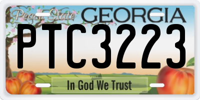 GA license plate PTC3223