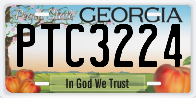 GA license plate PTC3224