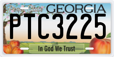 GA license plate PTC3225