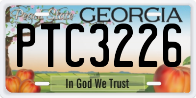 GA license plate PTC3226