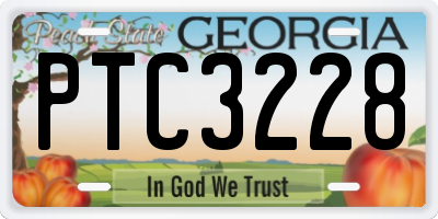 GA license plate PTC3228
