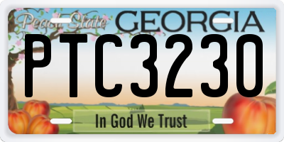 GA license plate PTC3230