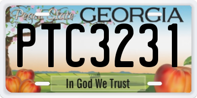 GA license plate PTC3231
