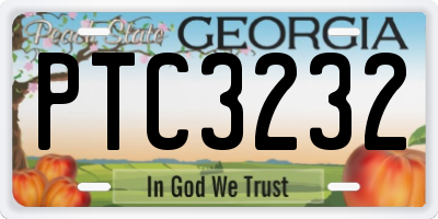 GA license plate PTC3232