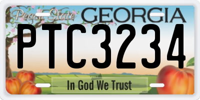 GA license plate PTC3234