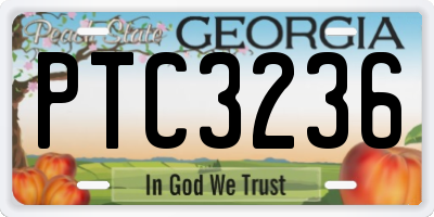 GA license plate PTC3236