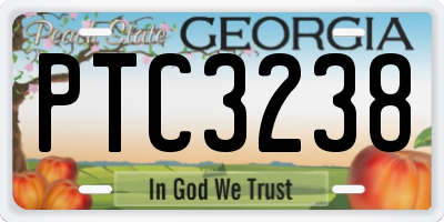 GA license plate PTC3238
