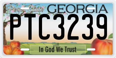 GA license plate PTC3239