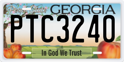 GA license plate PTC3240