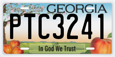 GA license plate PTC3241