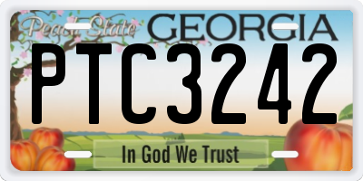 GA license plate PTC3242