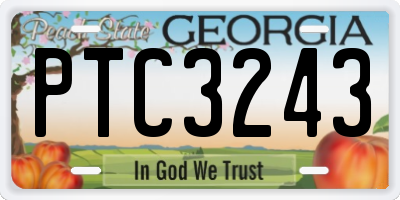 GA license plate PTC3243