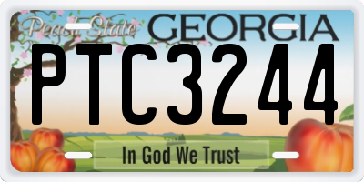 GA license plate PTC3244