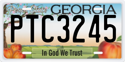 GA license plate PTC3245