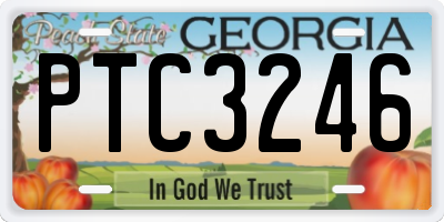 GA license plate PTC3246