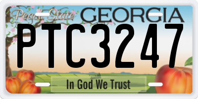 GA license plate PTC3247