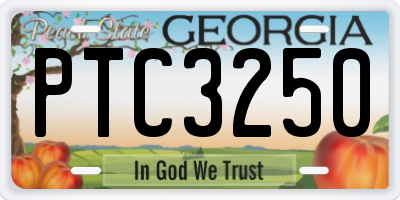 GA license plate PTC3250